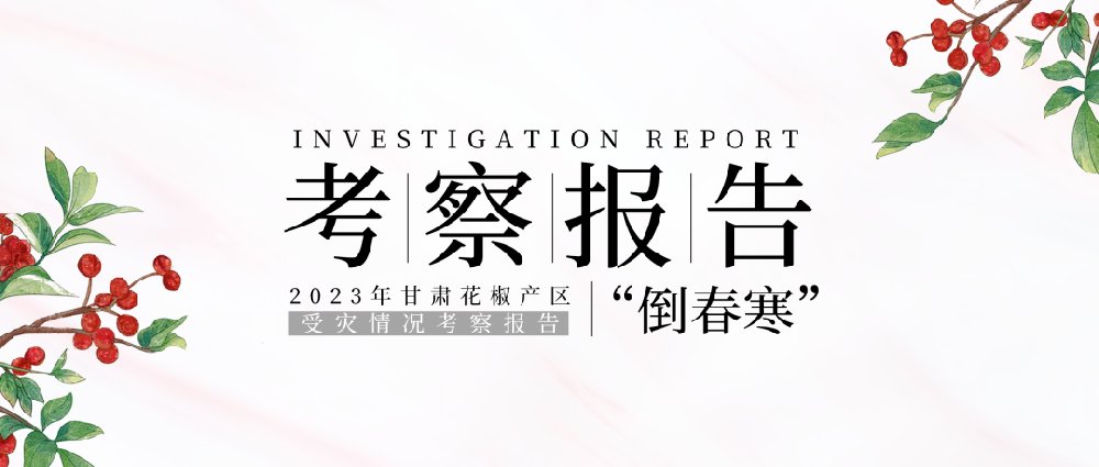 ���챨��|2023����໨��������������������������챨��