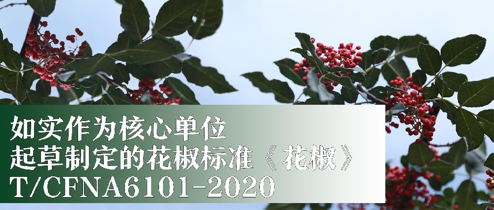 �������ǲ���Ϊ���㵥λ����ƶ��Ļ�����׼������������T/CFNA 6101-2020